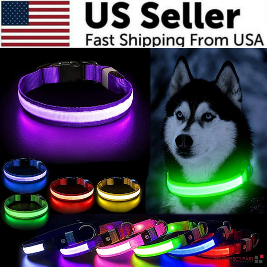 LED Dog Collar is a GAME CHANGER for walking your dog at night.  Waterproof, fully adjustable flashing or constant glow. 
